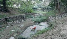 Chandigarh Mayor seeks urgent desilting of N-Choe, Patiala Ki Rao ahead of monsoon