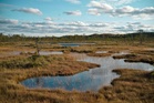 The bogs of war: landscapes play a huge part in conflict – and restoring them can strengthen security