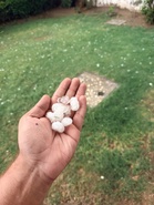 Rain, thunderstorm lash Rewari, residents find instant relief from heat
