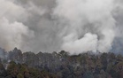 Massive forest fire erupts at multiple locations in Rajouri