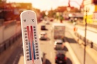 NGT seeks action plan for escalating heatwave from Centre and states