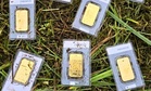 A Town Worker Accidentally Found Gold Worth 40,000 Euros While Mowing the Lawn