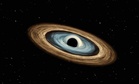 A Mysterious Object Passed in Front of a Distant Star for One Hour, and It May Be a Primordial Black Hole