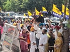 AAP winner in 5 of 7 civic bodies in Mohali
