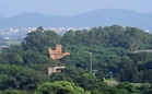 Six-member panel for single-window system in Chandigarh