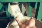 Team set up to verify quality of rice at two mills in Karnal dist