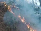 Rajouri forest fires rage across multiple locations, firefighting operations underway