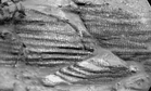 NASA’s Curiosity Rover Reaches a New Spot on Mars and Makes a Remarkable Discovery