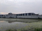 Haryana stops new slaughterhouse approvals in Nuh