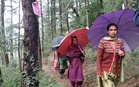 Himachal panchayat polls: Over 80% voter turnout in final phase