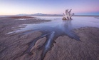Scientists Just Found a Tiny Creature in the Great Salt Lake, It May Have Been There Since the Age of Dinosaurs