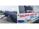"A ray of hope": PM Modi hails 'Namami Gange Abhiyan' initiative for saving trapped Gangetic dolphin in UP