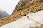 Noida trekker goes missing on Pindari Glacier route in Uttarakhand’s Bageshwar; search on