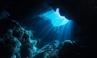Inside Underwater Caves, Researchers Discovered More Than 1,100 Species That Had Never Been Documented Before