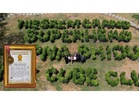 The Cube Club Creates World Record with 10,000 Plant Green Installation, Celebrates 1 Lakh Tree Plantation Milestone with Jackie Shroff