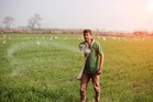 El Nino impact: Centre lowers urea demand to 190 LMT, DAP to 56 LMT for Kharif season
