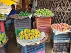 Malihabad's Dussehri mangoes arrive in markets, traders report strong demand despite lower crop yield
