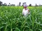 From farms to digital India a story of inclusive growth