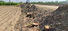 Activists allege illegal felling of trees in Barnala, seek probe