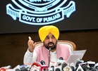 Govt hikes crop loan limit, brings more varieties under credit net