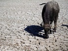 UN Chief warns of extreme weather risks, urges urgent climate action ahead of El Nino