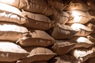Food and supplies inspector suspended for negligence after video of water sprayed at wheat stocks surfaced