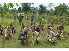 Indian army joins hands with forest department to plant 10,000 plants across Upper Assam ahead of World Environment Day 2026