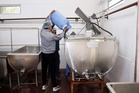 Dhagwar milk plant collection jumps fourfold in two-and-a-half years