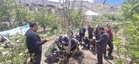 Month-long campaign to promote sustainable farming begins in Kinnaur