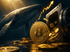 Whale Borong Bitcoin, Adakah BTC Bersedia Ke $70,000?