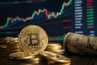 ‘Bull Run’ Sedang Berlaku? Ini 5 Fokus Pelabur Kripto Pada 2026
