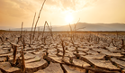 El Nino Bakal Ancam 451,000 Nyawa Akibat Haba