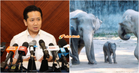 “Bawa mereka pulang!” – Menteri Besar Pahang & NRES Gesa Zoo Taiping Bawa Dara, Amoi & Kelat Pulang