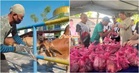 5 Perkara Yang Ramai Tak Tahu Tentang Ibadah Korban
