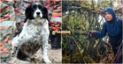 Ramai Tertanya, Bomba Perak Perjelas Sebab Khidmat Anjing K9 Tidak Diguna Dalam SAR Jaslinda