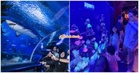 Aquaria KLCC Berbaloi Ke? Ini Spot Viral, Harga Tiket & Tips Elak Sesak