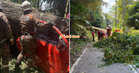 Kereta 4WD Dihempap Pokok Tumbang, 4 Ma*t Di Jalan Kuala Lumpur – Karak