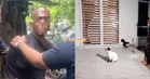 Suspek Lakukan Perbuatan Tak Senonoh Dengan Kucing Ada 3 Rekod Jenayah