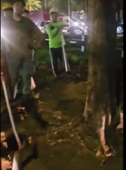Tree cutting, earthballing video sparks alarm despite suppposed halt order on Salex project