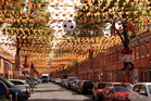 Fans hope 'Orange Street' guides Dutch to World Cup victory