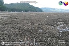 Deadly quake raised seabed by up to two meters