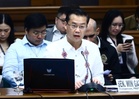 Gatchalian: Senate recognizes only one Blue Ribbon Committee