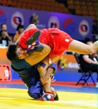 Novino cops silver in Sambo meet