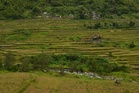 DA to restore Banaue Rice Terraces