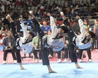 National poomsae tilt draws stellar cast