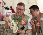 Lubang eyed as key garlic supplier; DA seeking ways to increase island's garlic output