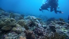 Boracay scuba cartel fined for fixing prices