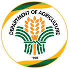 Agriculture dept approves P2.06B in rural road projects