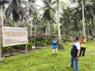 PCA rolls out expanded assistance programs to strengthen Palawan's coconut industry