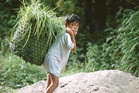 ​Child laborers increase